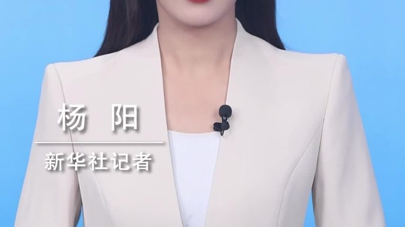 北京移动BI应用服务商的技术选型要点